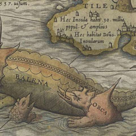 カルタ・マリナの画像[3]サムネイル