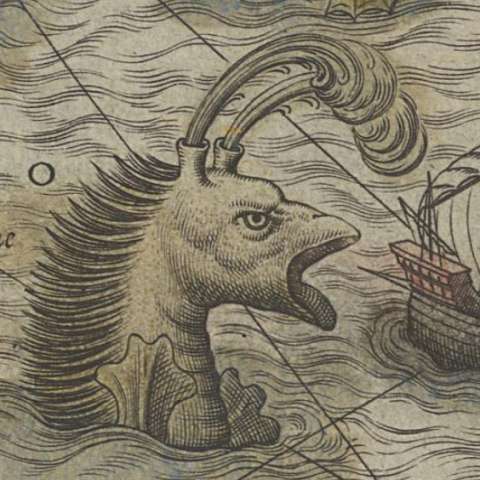 カルタ・マリナの画像[4]サムネイル