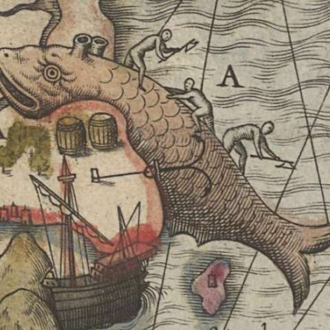 カルタ・マリナの画像[5]サムネイル