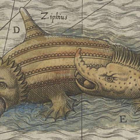 カルタ・マリナの画像[7]サムネイル