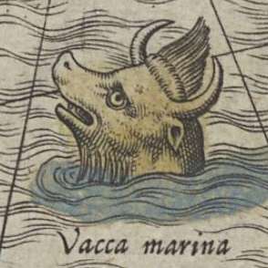 カルタ・マリナの画像[9]サムネイル