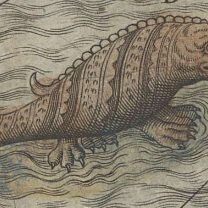 マリーン・ボアの画像[1]サムネイル