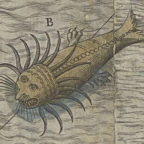 カルタ・マリナの画像[12]サムネイル