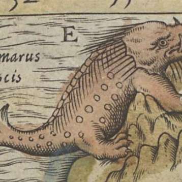 カルタ・マリナの画像[13]サムネイル