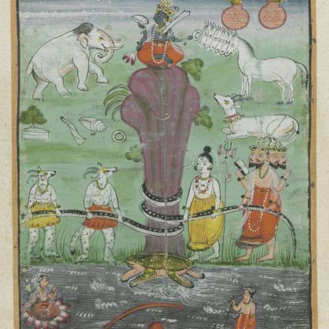 クールマの画像[1]サムネイル