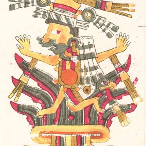 マヤウェルの画像[1]サムネイル