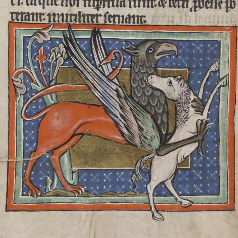 動物寓話集の画像[2]サムネイル