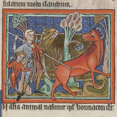 動物寓話集の画像[3]サムネイル