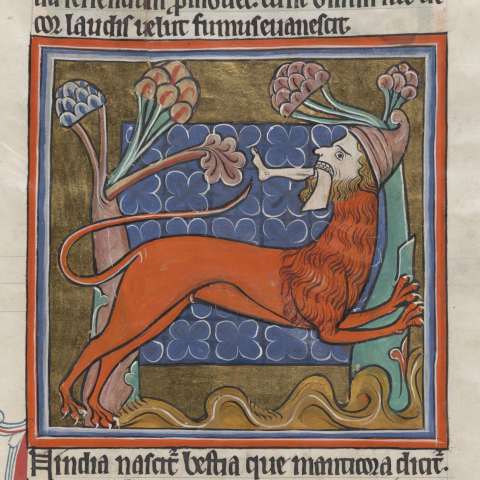 動物寓話集の画像[5]サムネイル