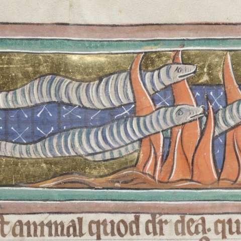 動物寓話集の画像[6]サムネイル