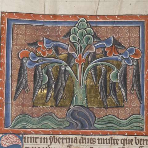 動物寓話集の画像[7]サムネイル