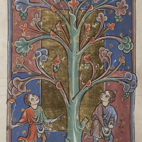 動物寓話集の画像[11]サムネイル