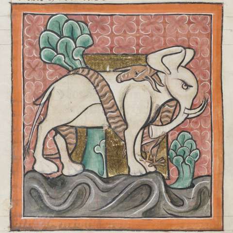 動物寓話集の画像[14]サムネイル