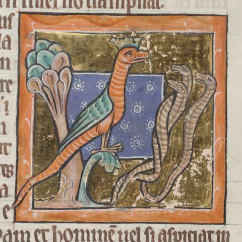 動物寓話集の画像[15]サムネイル