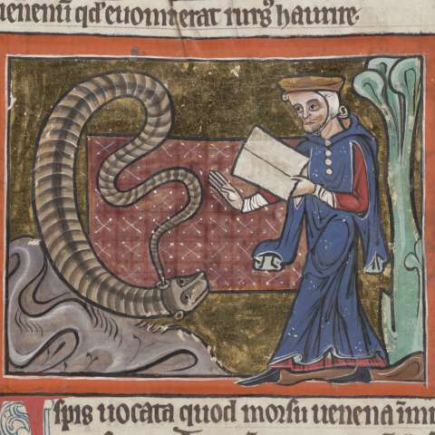 アスピスの画像[3]サムネイル