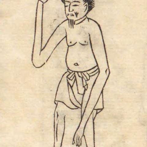 長臂人の画像[1]サムネイル