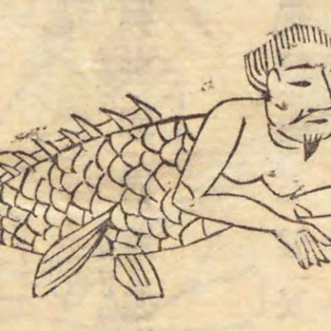 氐人の画像[1]サムネイル