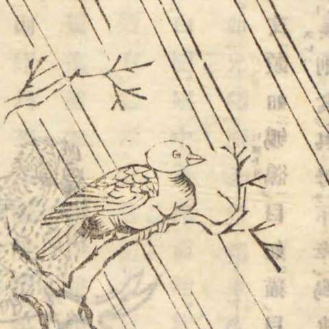 和漢三才圖會の画像[37]サムネイル