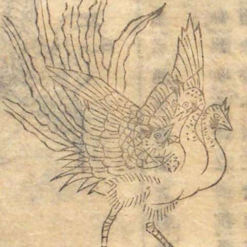 鵸鵌の画像[2]サムネイル