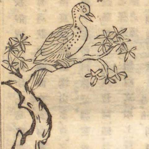 鵺の画像[1]サムネイル