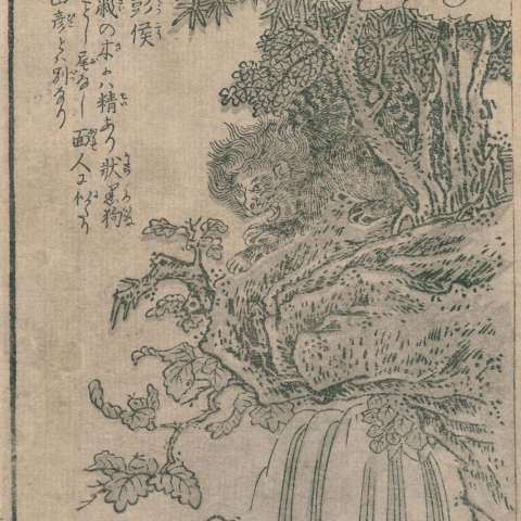 百鬼夜行拾遺の画像[6]サムネイル