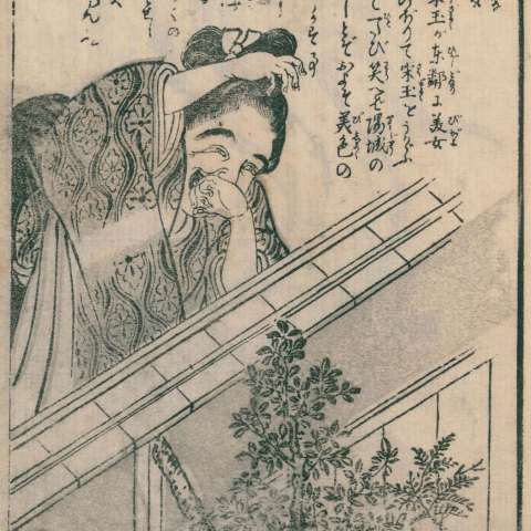 倩兮女の画像[1]サムネイル