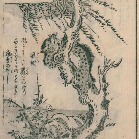 百鬼夜行拾遺の画像[36]サムネイル