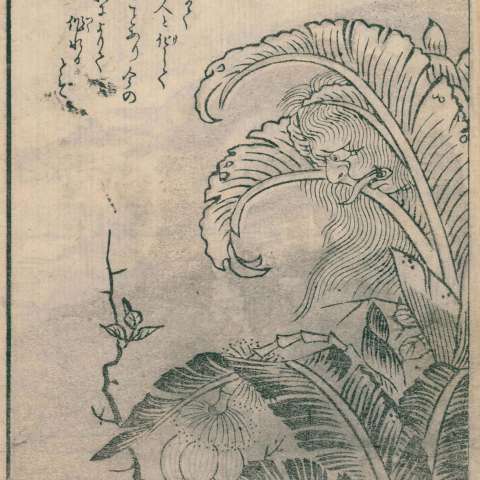 百鬼夜行拾遺の画像[38]サムネイル