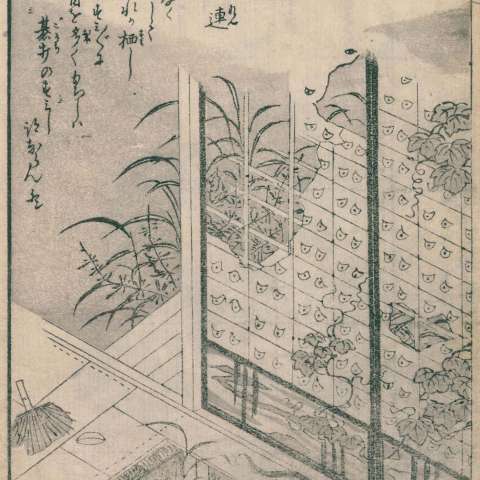 目目連の画像[1]サムネイル