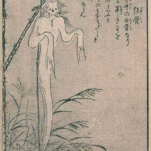 百鬼夜行拾遺の画像[43]サムネイル