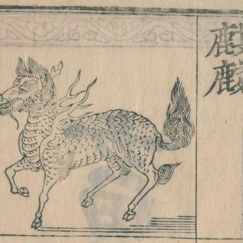 麒麟の画像[2]サムネイル