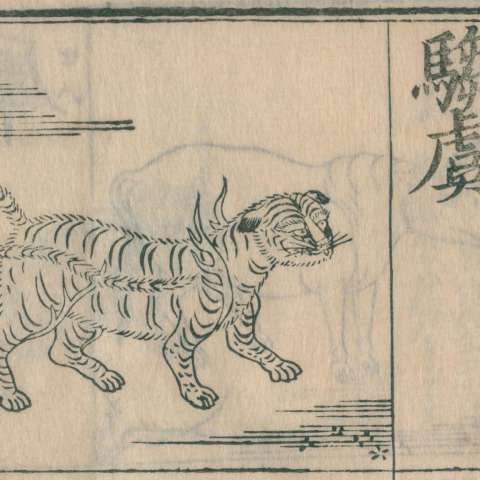 騶吾の画像[1]サムネイル