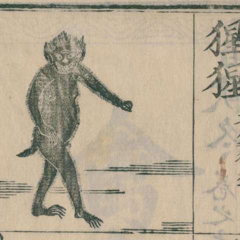 訓蒙圖彙の画像[14]サムネイル