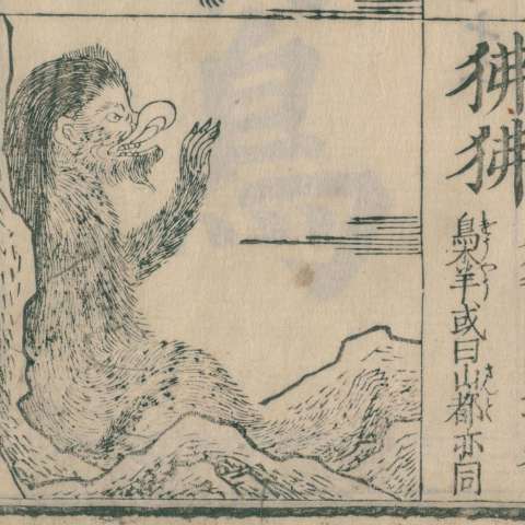 訓蒙圖彙の画像[15]サムネイル