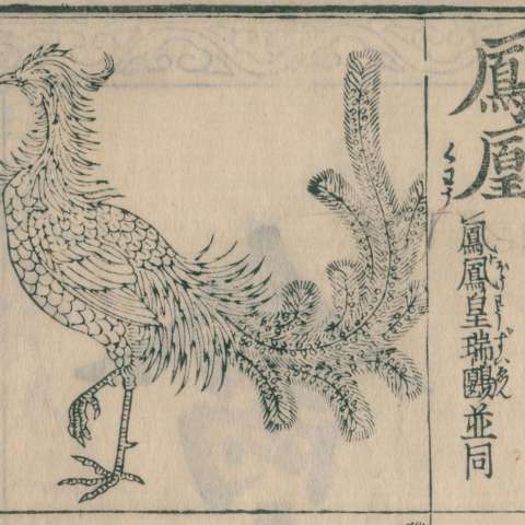 訓蒙圖彙の画像[16]サムネイル