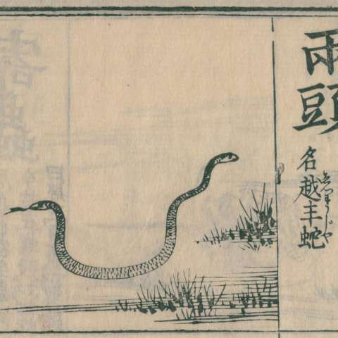 訓蒙圖彙の画像[20]サムネイル