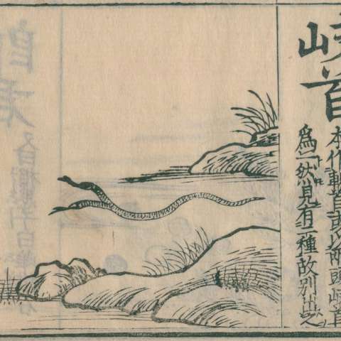 訓蒙圖彙の画像[21]サムネイル