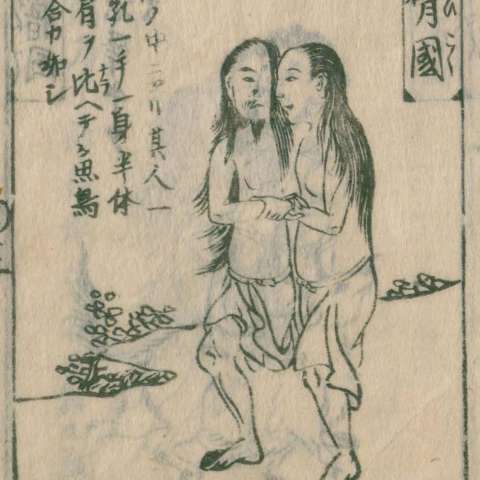 一臂人の画像[2]サムネイル