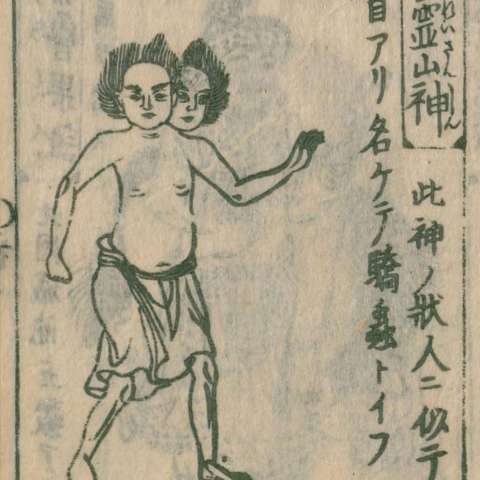 驕虫の画像[2]サムネイル