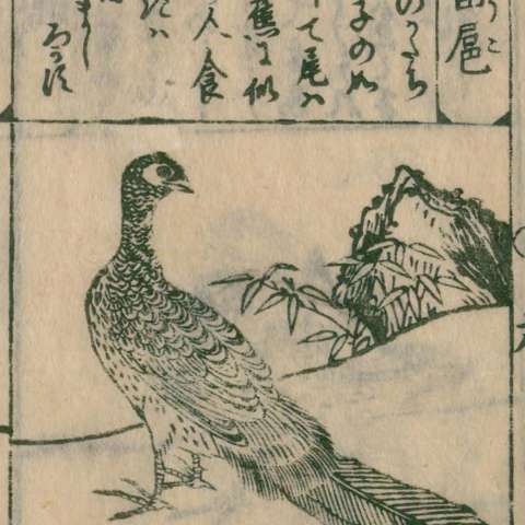 当扈の画像[2]サムネイル