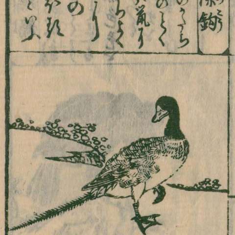 唐土訓蒙圖彙の画像[60]サムネイル