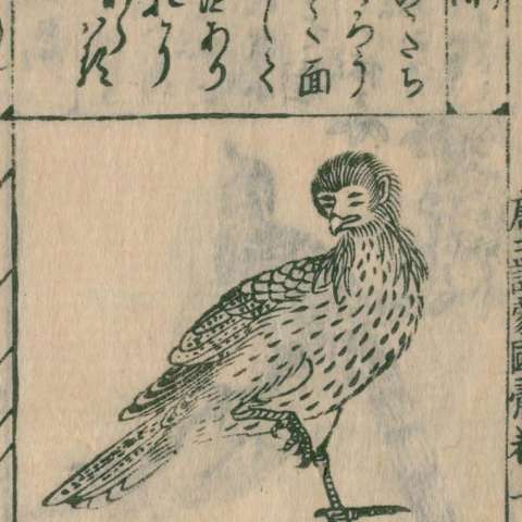 顒の画像[2]サムネイル