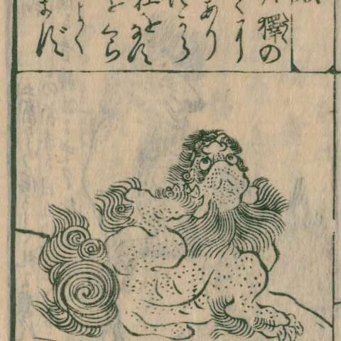 類の画像[2]サムネイル