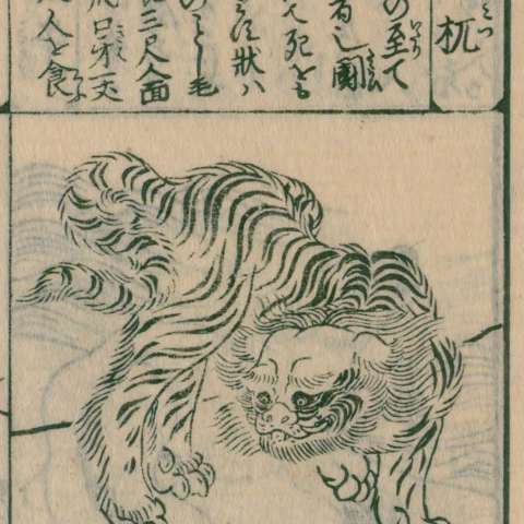 梼杌の画像[2]サムネイル