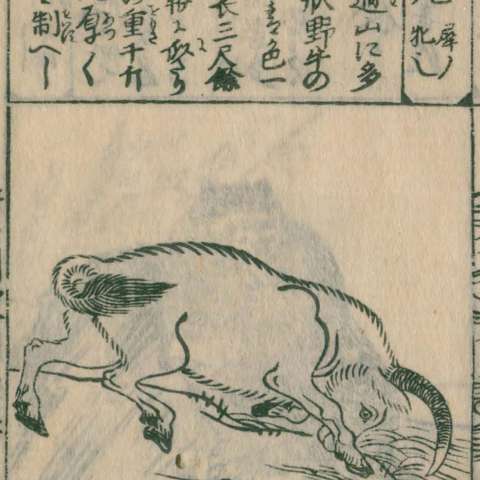 唐土訓蒙圖彙の画像[76]サムネイル