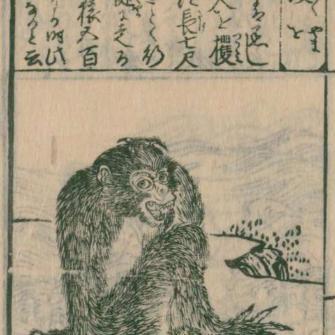 唐土訓蒙圖彙の画像[79]サムネイル