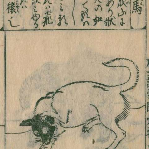 唐土訓蒙圖彙の画像[83]サムネイル