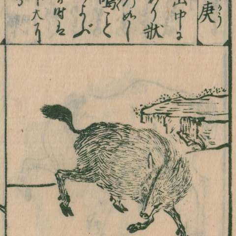 当康の画像[2]サムネイル