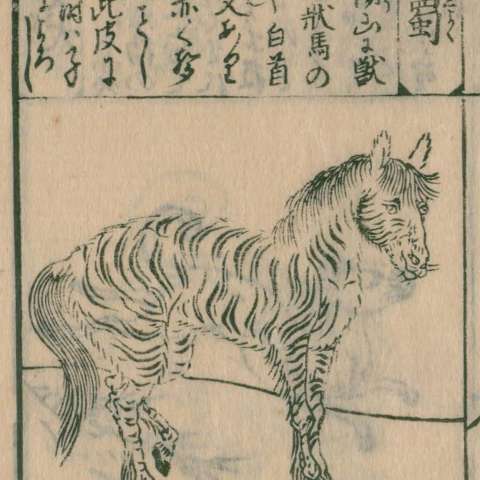 唐土訓蒙圖彙の画像[88]サムネイル