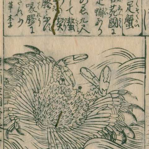 唐土訓蒙圖彙の画像[100]サムネイル